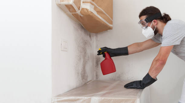 Professional Hvac And Air Duct Mold Remediation technician working in Lakewood, IL